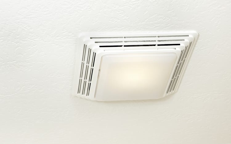 Ceiling Fan With Light