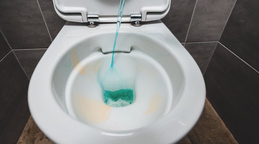 pouring liquid into toilet bowl