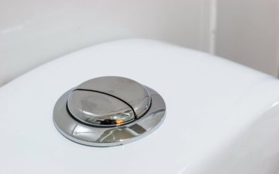 6 Best Quiet Flush Toilets