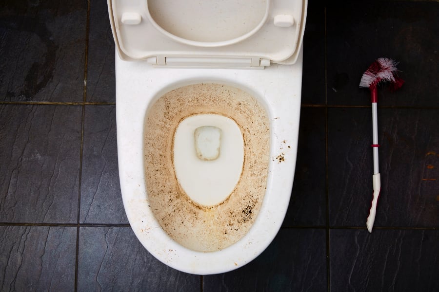 How To Get Rid Of Toilet Ring? 12 Quick Solutions