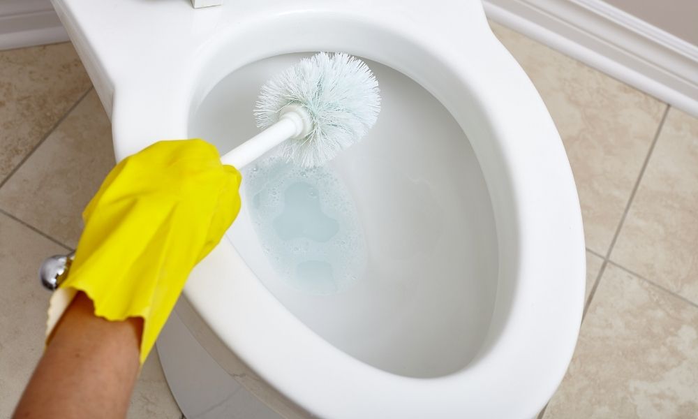 cleaning toilet with brush