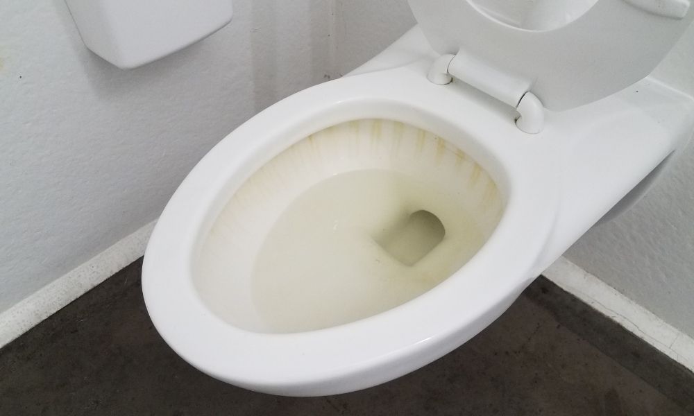 How to Remove Hard Water Stains From a Toilet? 17