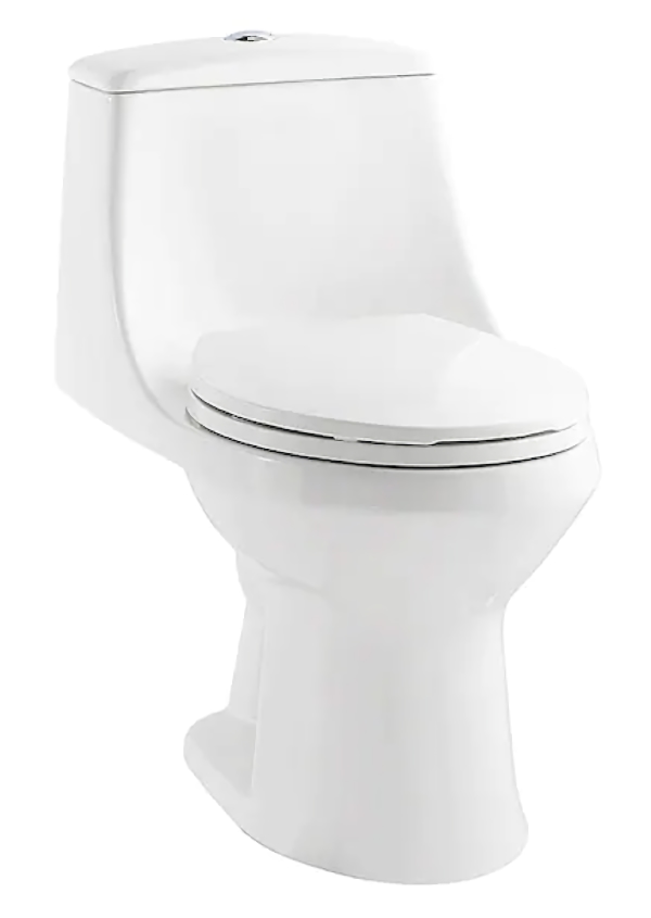 Project Source Laporte Dual Flush Toilet