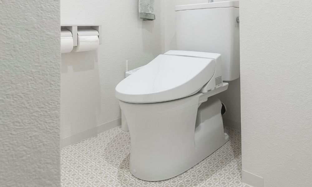 Best Smart Toilets  13