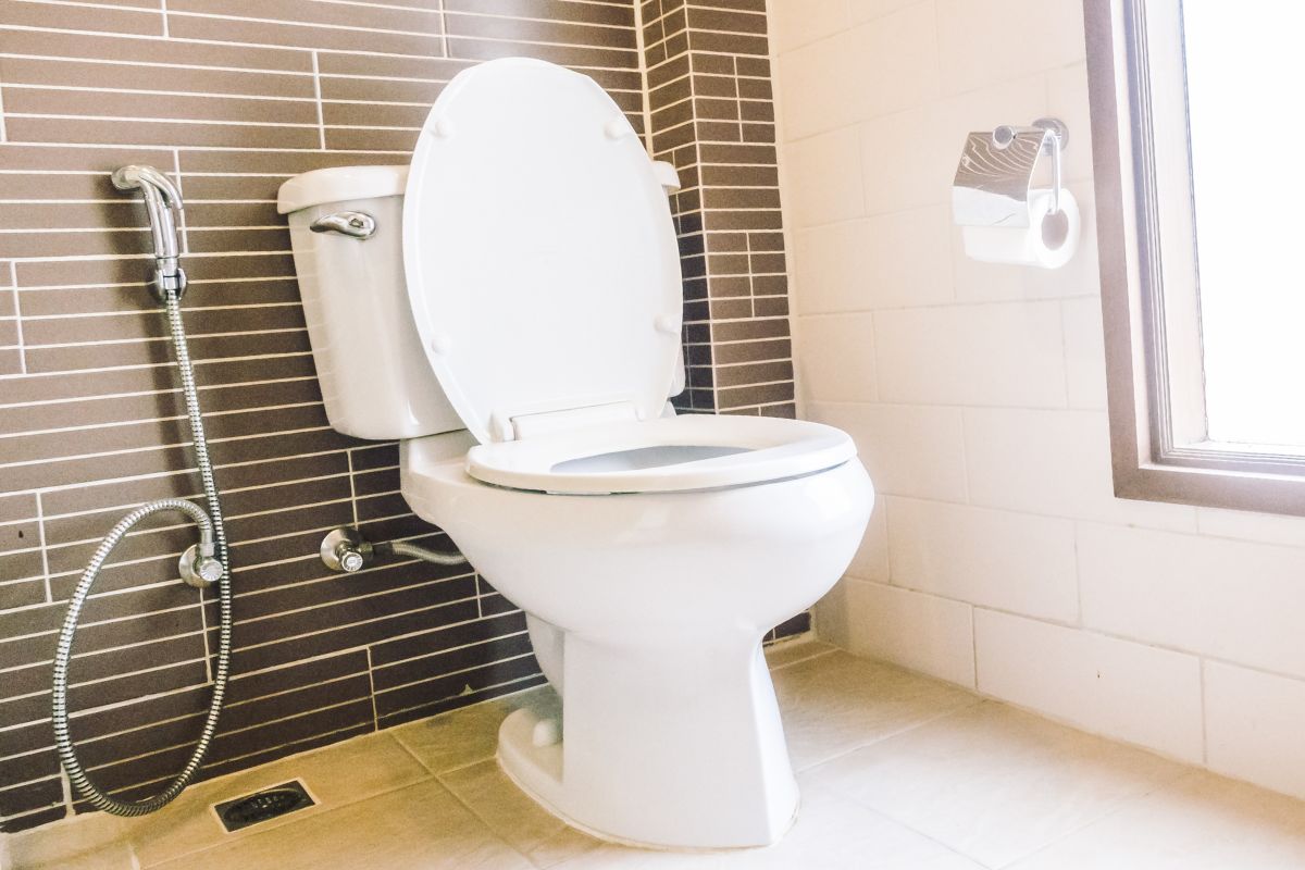 Parts Of A Toilet And How It Works: The Ultimate Guide
