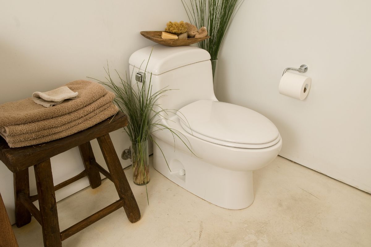 Parts Of A Toilet And How It Works The Ultimate Guide