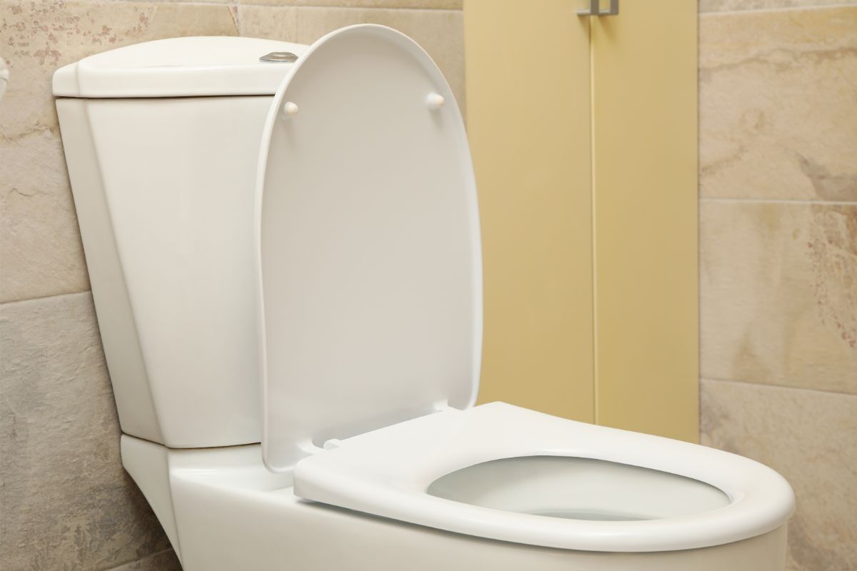Slow Close Toilet Seats And Hinges: What You Need To Know