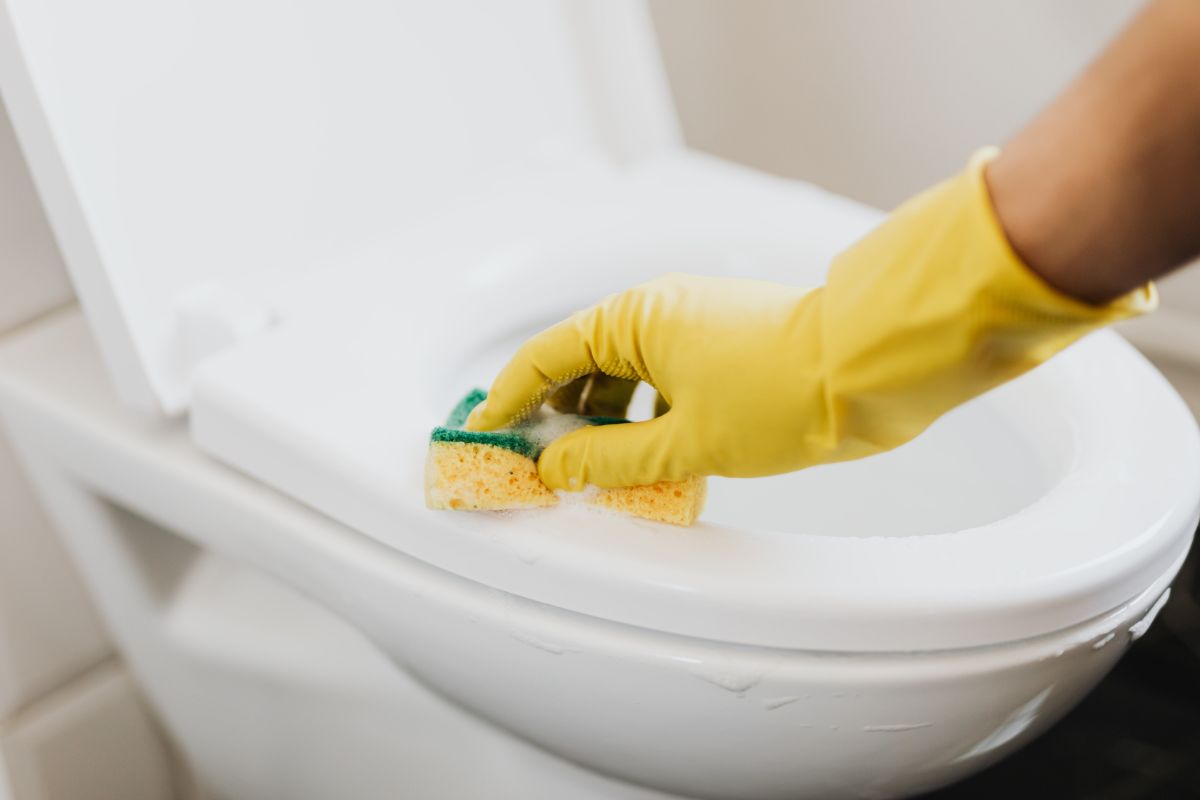 What's Really Causing Your Toilet Bowl Stains: Everything You Need To Know 2