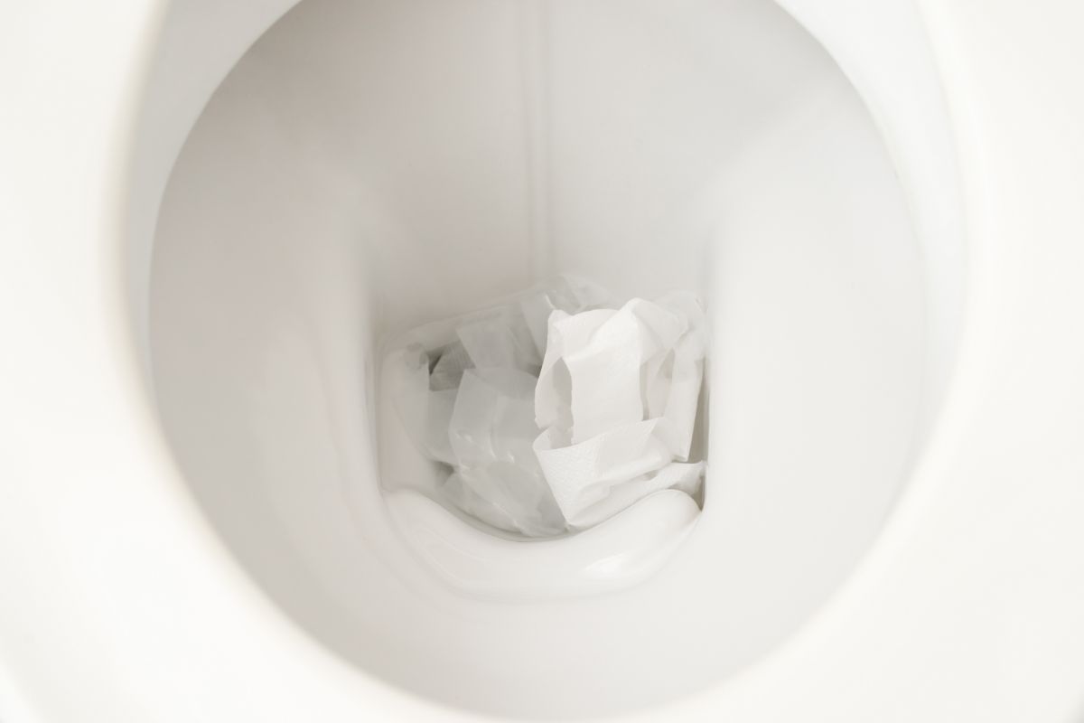 How To Fix A Toilet Clogged With Paper Towels 1