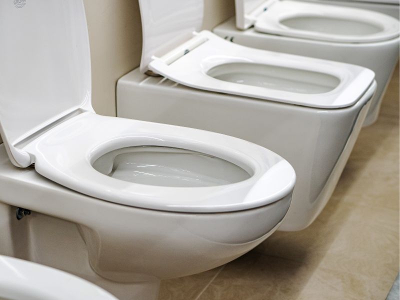 One Size Fits All: Are Toilet Seats Universal? 1