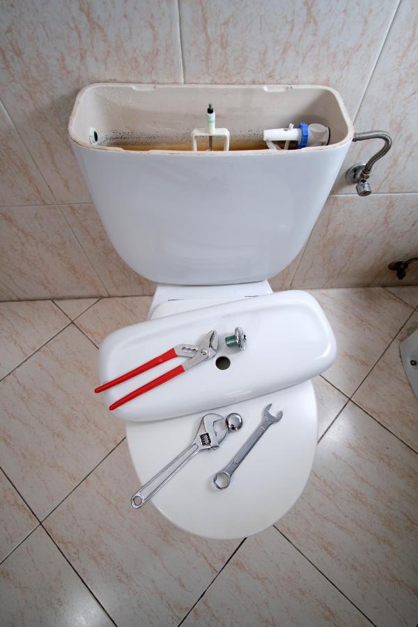How to Flush a Toilet with a Broken Handle | bomisch.com