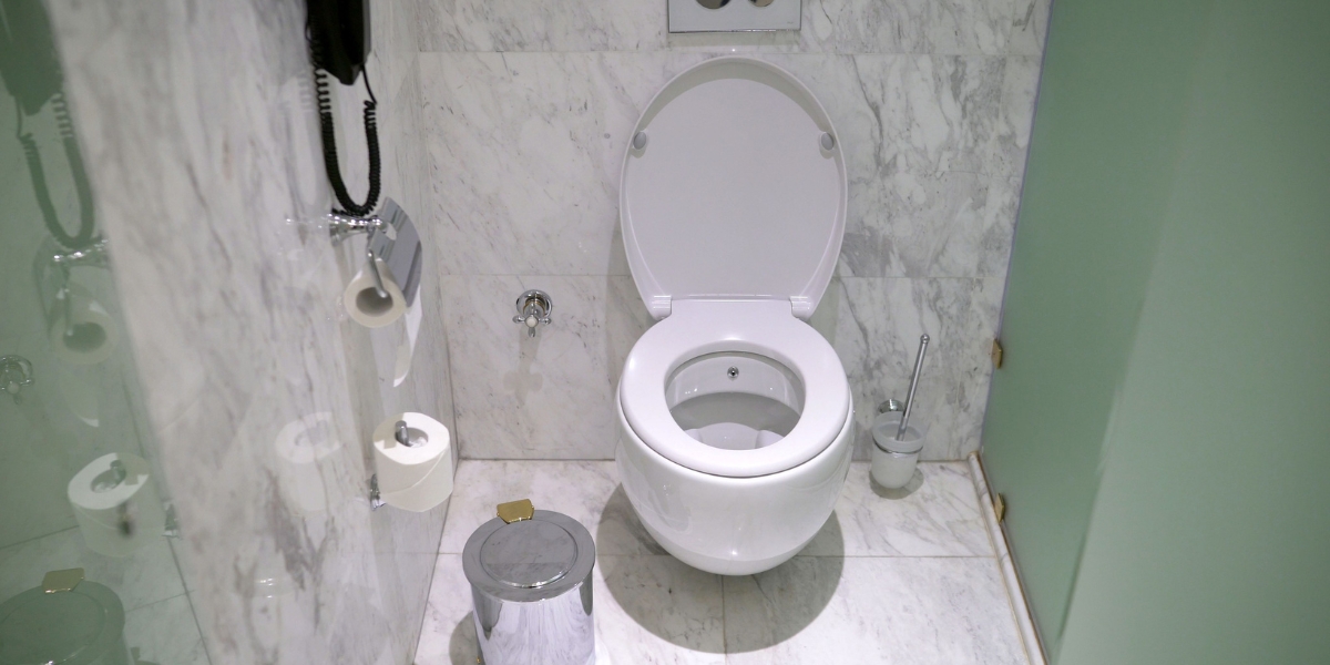 One Size Fits All: Are Toilet Seats Universal? 3