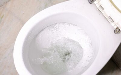 Reasons Why Your Toilet Flushes Slowly: A Homeowner’s Guide
