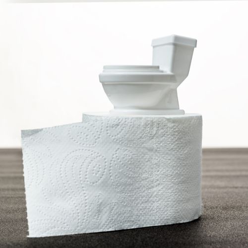 Can Toilet Paper Clog Pipes? Yes! Learn Why (and What to do) 7